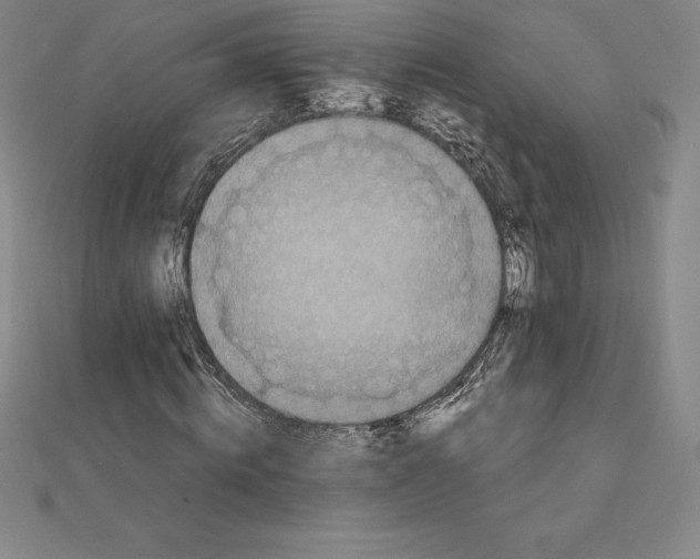 X0000110320820200906181821