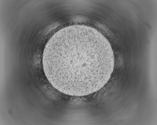 X0000110320824200906181822