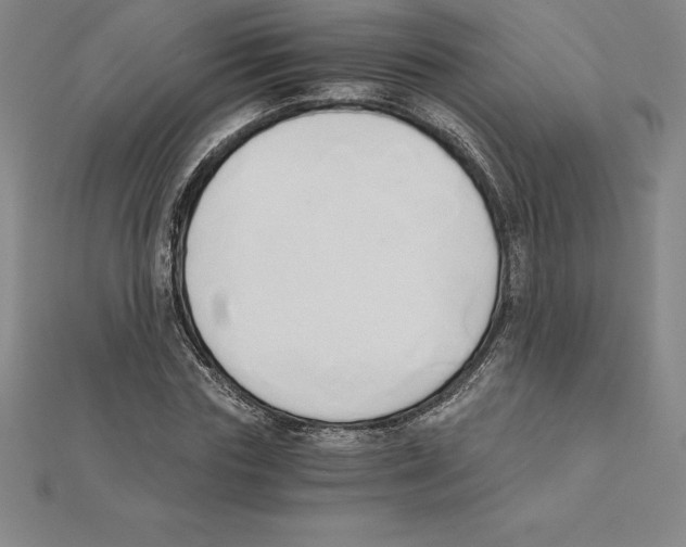 X0000110320827200906181822