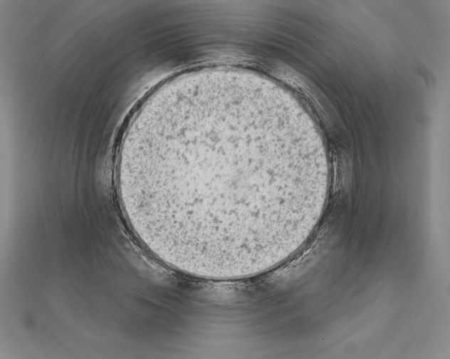 X0000110320828200906181822