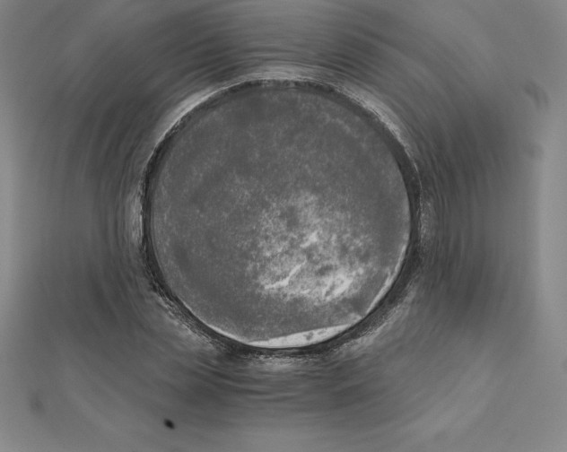 X0000110320829200906181822