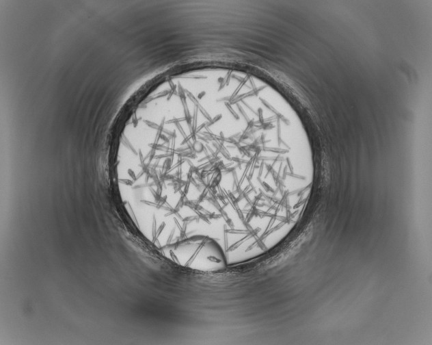 X0000110320830200906181822