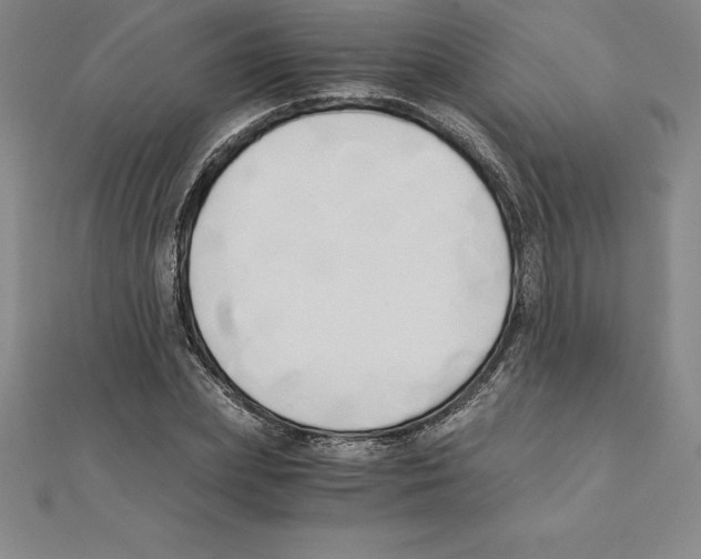 X0000110320831200906181822