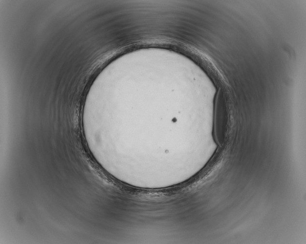 X0000110320833200906181822