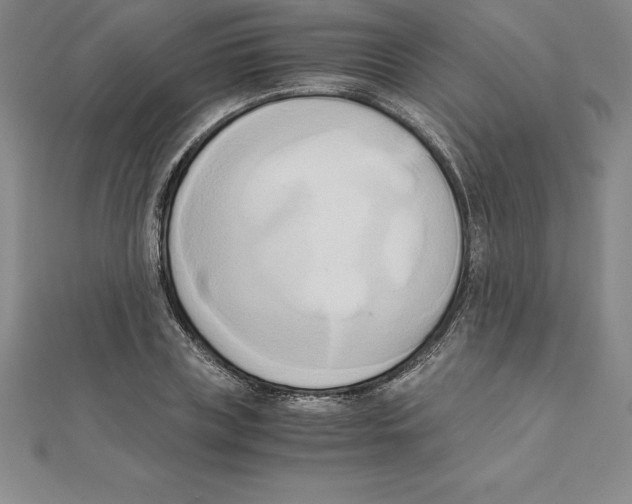 X0000110320835200906181822