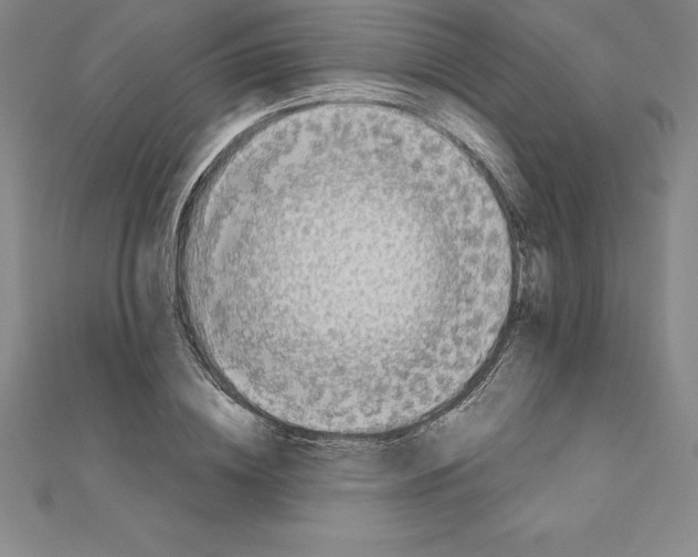 X0000110320836200906181822