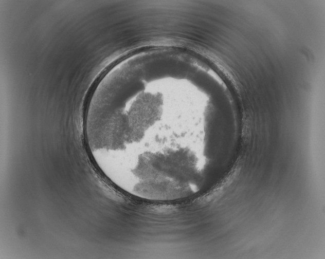 X0000110320837200906181822