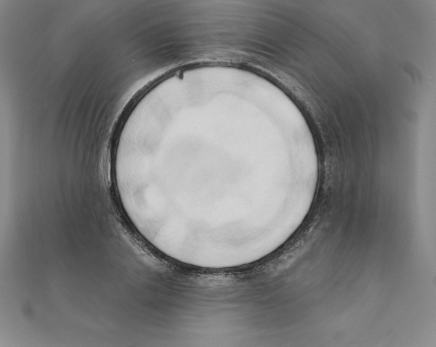 X0000110320838200906181822