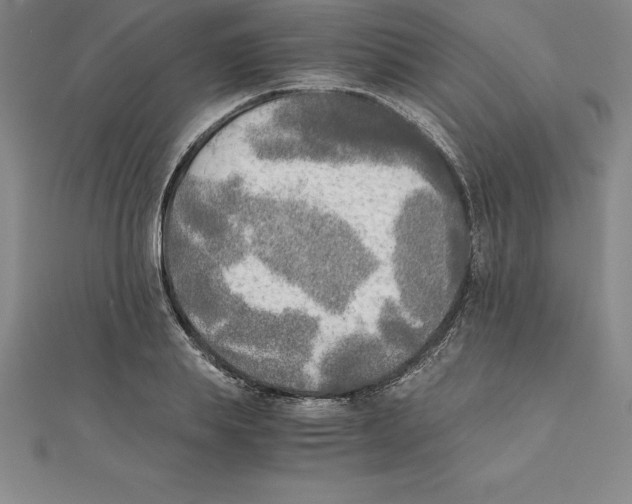 X0000110320839200906181822