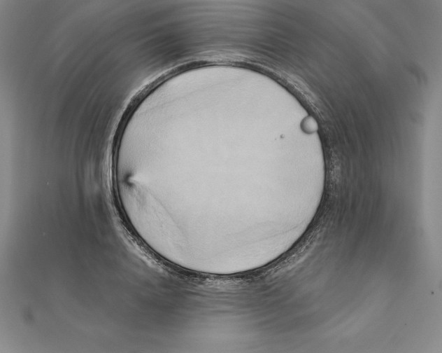 X0000110320840200906181822