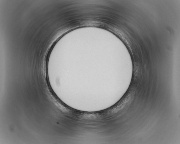 X0000110320843200906181822