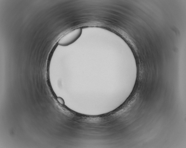 X0000110320845200906181822