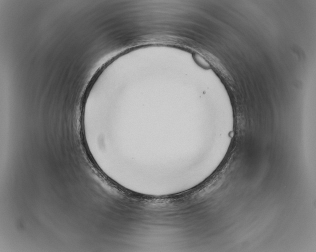 X0000110320846200906181822