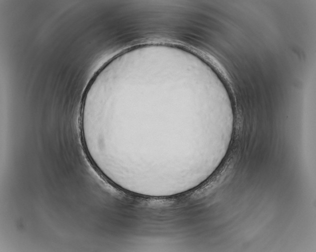 X0000110320847200906181822