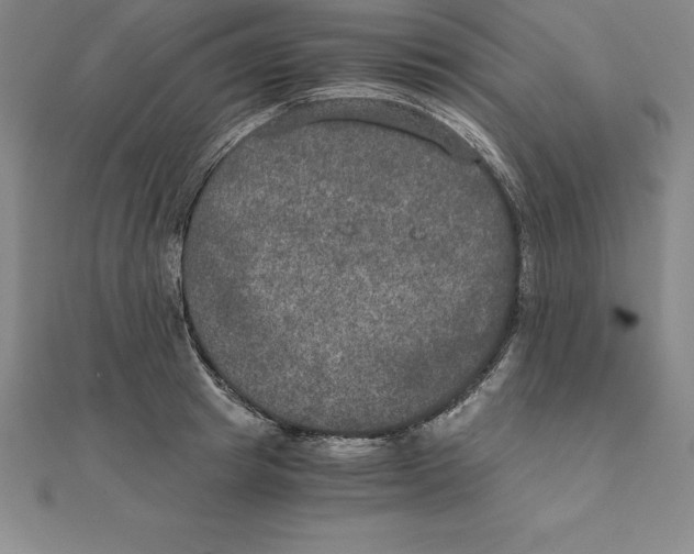 X0000110320849200906181822