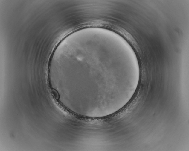 X0000110320850200906181822