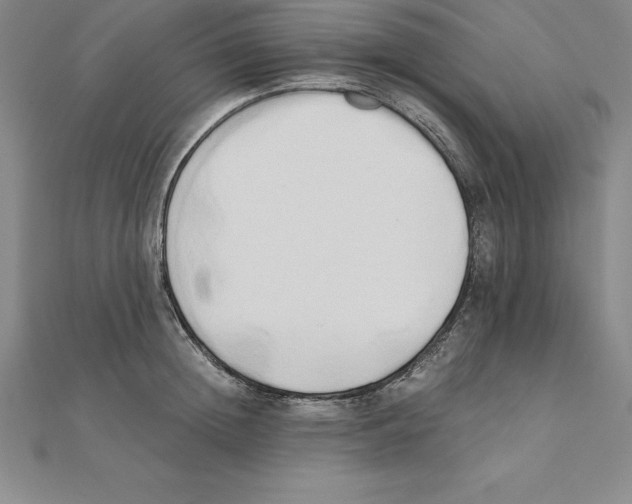 X0000110320852200906181822