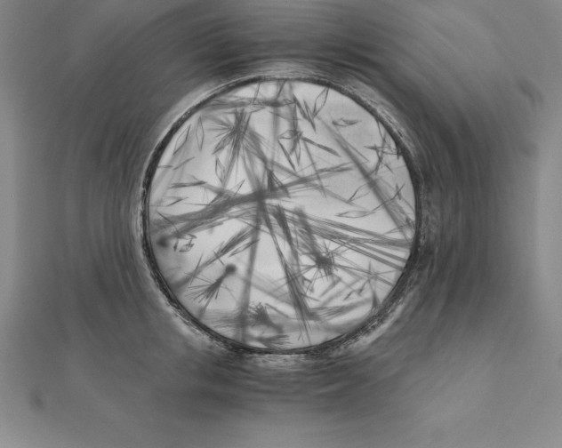 X0000110320853200906181822