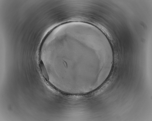 X0000110320854200906181822