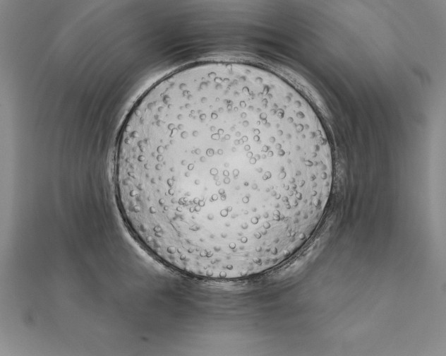 X0000110320855200906181822