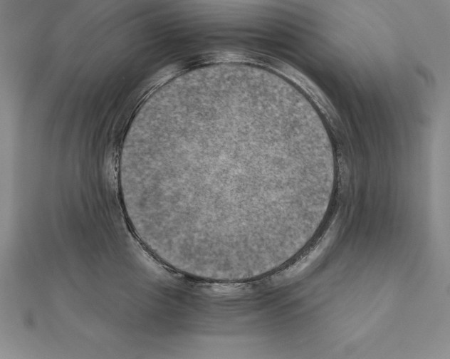 X0000110320857200906181822