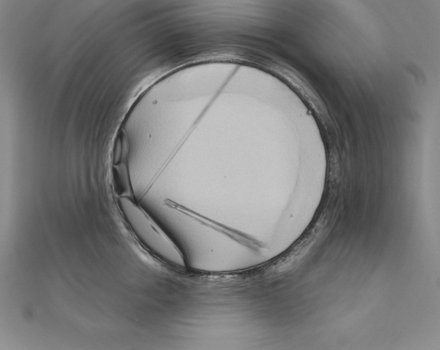 X0000110320858200906181822