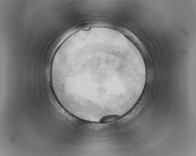 X0000110320860200906181822