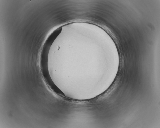 X0000110320862200906181822