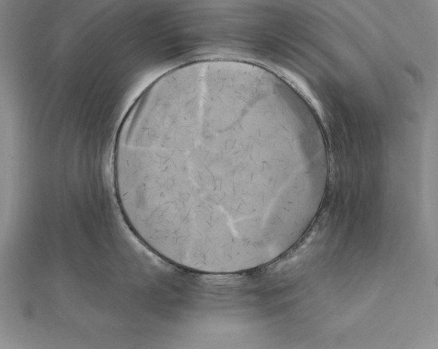 X0000110320863200906181822