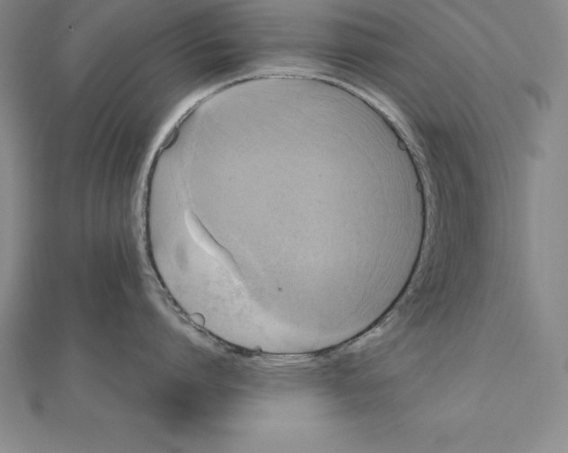 X0000110320864200906181822