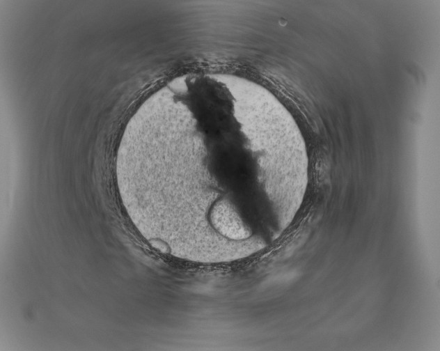 X0000110320865200906181821