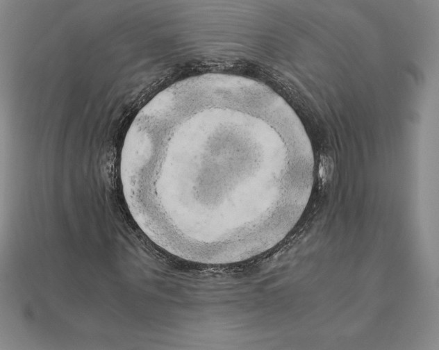 X0000110320867200906181821