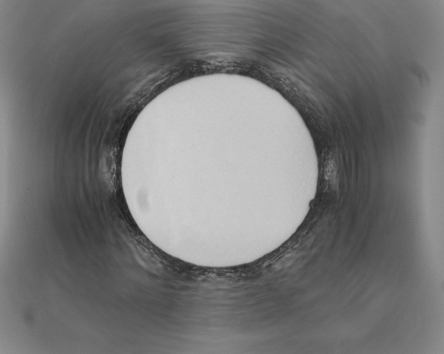 X0000110320868200906181821