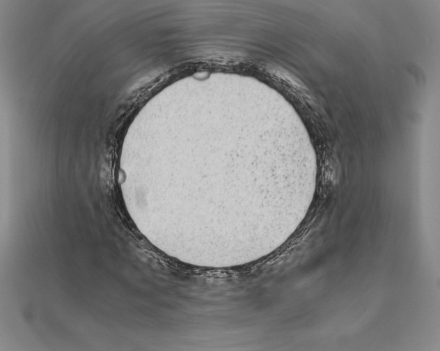 X0000110320869200906181821