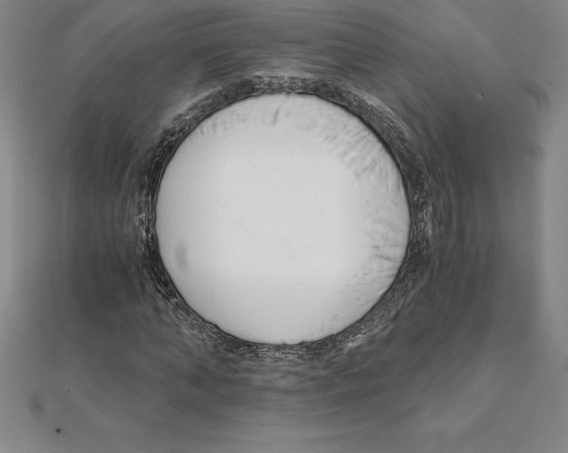 X0000110320870200906181821