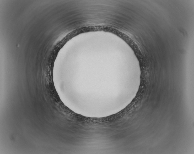 X0000110320871200906181821