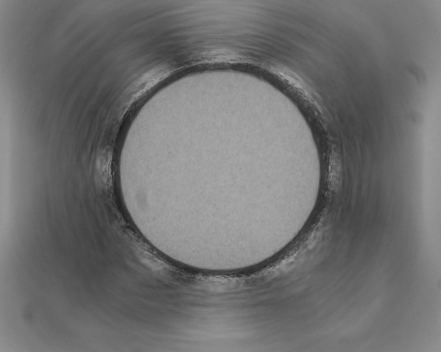 X0000110320873200906181821