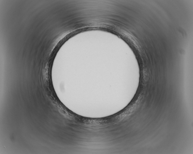 X0000110320875200906181821