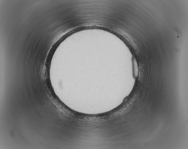 X0000110320876200906181821