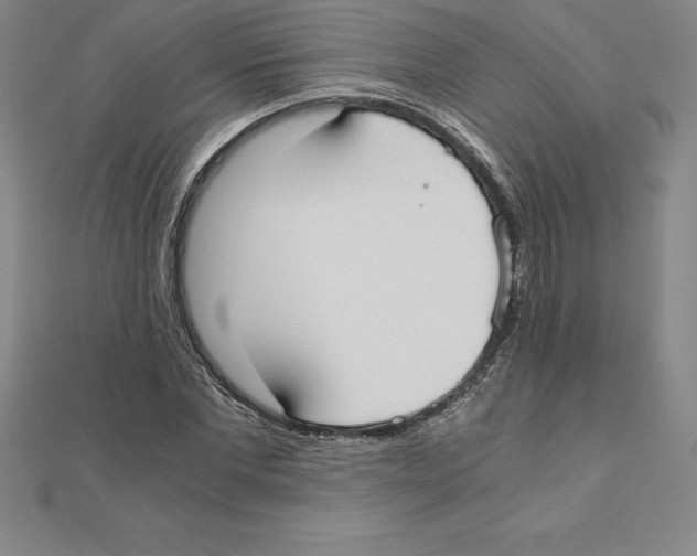 X0000110320877200906181821