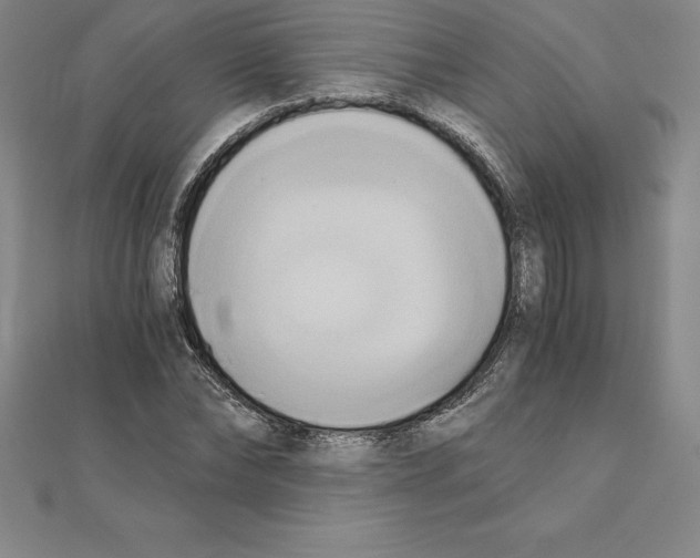 X0000110320878200906181821