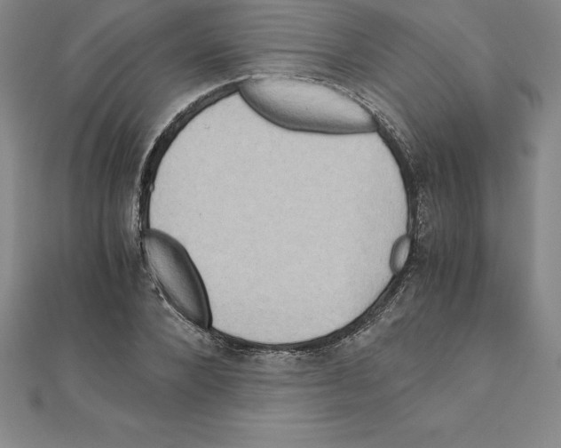 X0000110320880200906181821