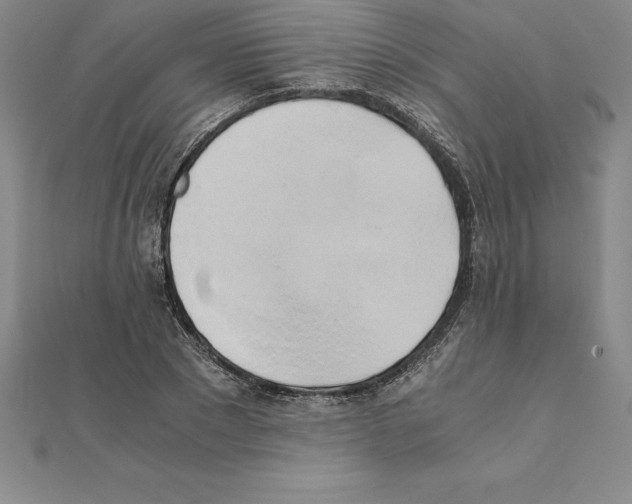 X0000110320881200906181821