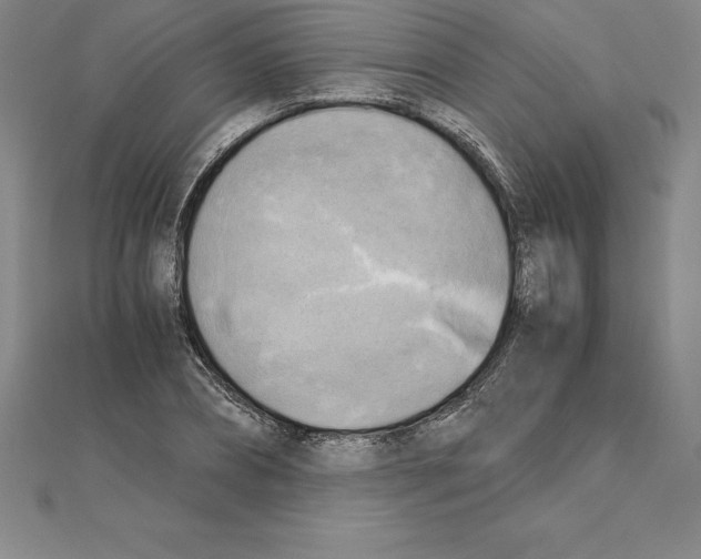 X0000110320882200906181821