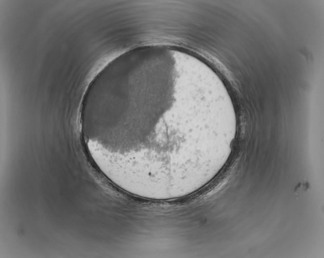 X0000110320885200906181821