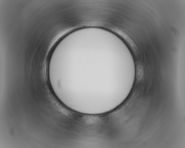 X0000110320886200906181821