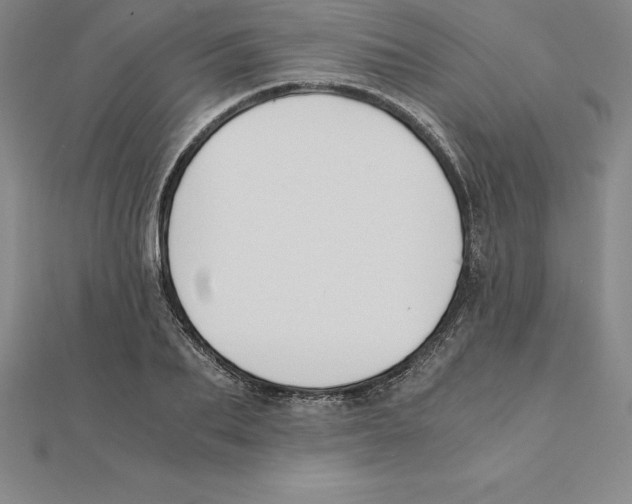 X0000110320887200906181821