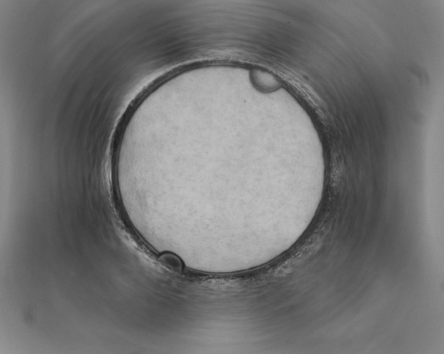 X0000110320888200906181821