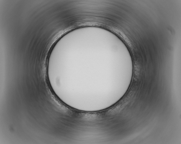 X0000110320890200906181821