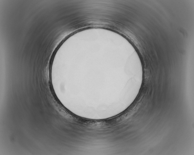 X0000110320891200906181821